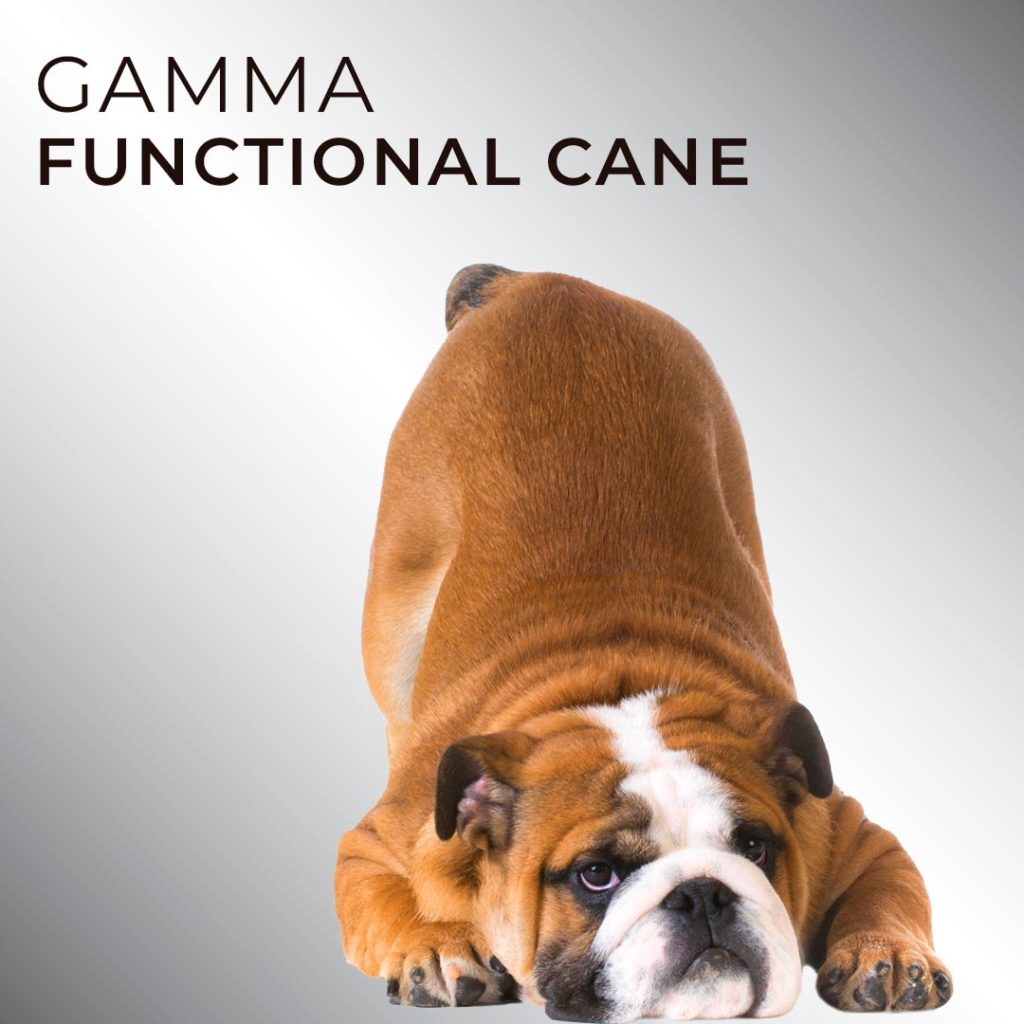 gamma functional cane
