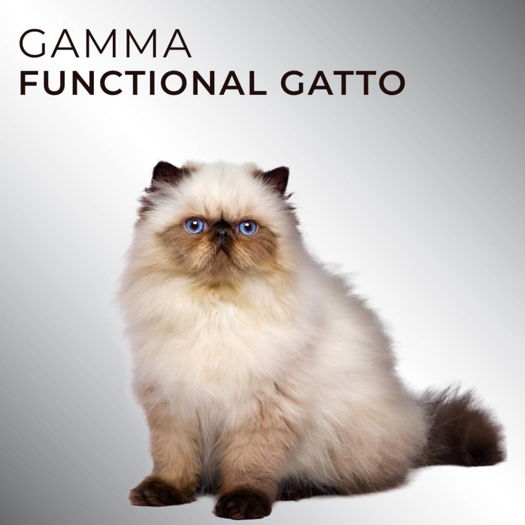 gamma funcional gatto