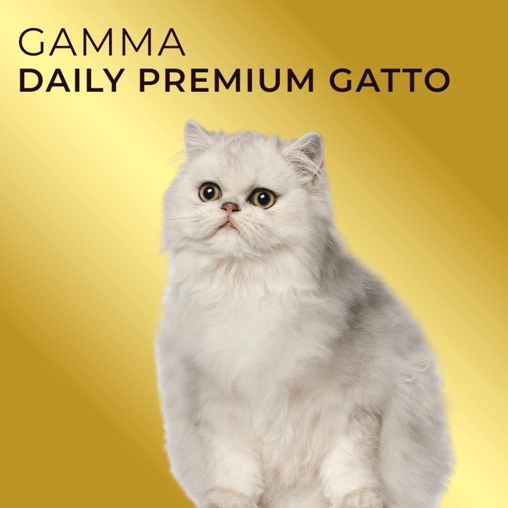 gamma daily premium gatto