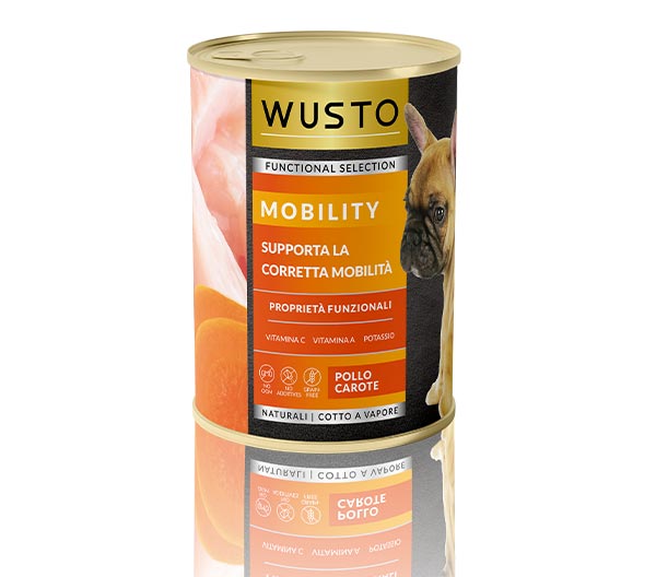 functional cane formato grande